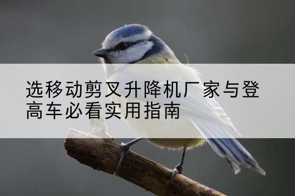 鄂伦春电动升降机厂家-选移动剪叉升降机厂家与登高车必看实用指南
