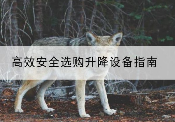 鄂伦春升降货梯厂家推荐-*安全选购升降设备指南