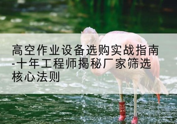鄂伦春剪叉式升降机厂家-高空作业设备选购实战指南-十年工程师揭秘厂家筛选核心法则